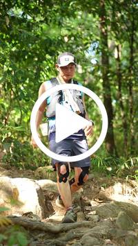 BIB:  <button type="button" onclick="openModal(27632934)" class="btn btn-primary btn-sm float-right" data-toggle="modal" data-target=".modal-high-quality">
                <i class="fa fa-download"></i> Download
                </button>